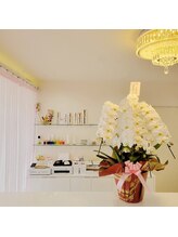 ムーンライズ(moonrise)/