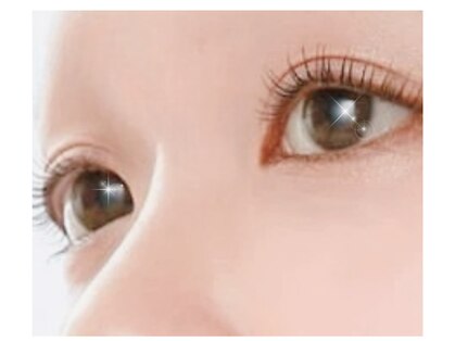 エムスタイルの写真