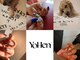 ヨヘン(YoHen)の写真