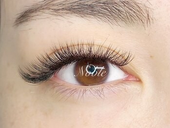 アイラッシュスペース ノーブル(Noble)/ボリュームラッシュ160束