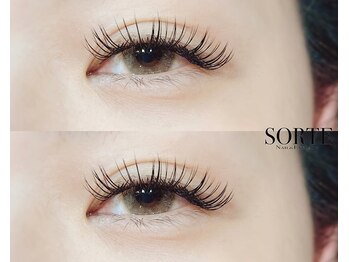 ソルテ(SORTE)/フラットラッシュ160本