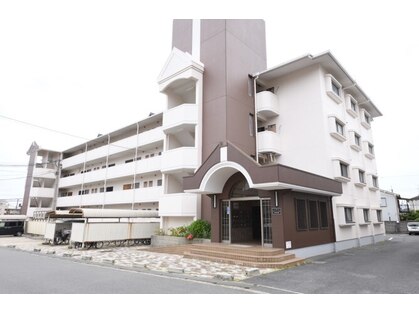 パートナー(PARTNER)の写真