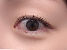 ハロウ/ブラウンマツエク 100本