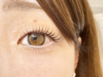 アクイール シュエット/ラッシュリフト/カール