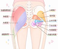さくら整体院 新宿三丁目店