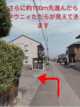トリート(treat)/真っ直ぐ進んでいくと左手に当店