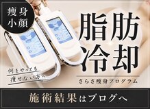 ナチュラル ビューティー スタイル さらさ(Natural Beauty Style)