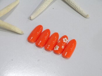 アネラ アイラッシュアンドネイル 六本木店(Anela Eyelash&nail)/定額A