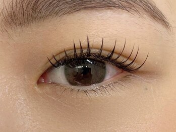 シュシュ &nbsp;恵比寿(#chouchou)/フラットラッシュ《120本》