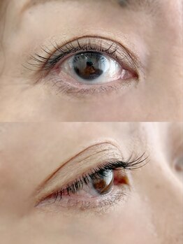 ムニ(muni)/LEDフラットラッシュ80本