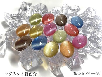 ティーエヌ たまプラーザ店/【新色】マグネットネイル