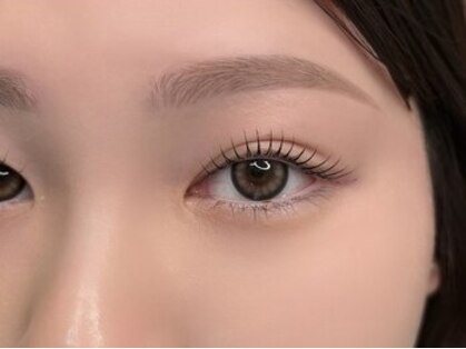 ソアラアイ(soara eye)の写真