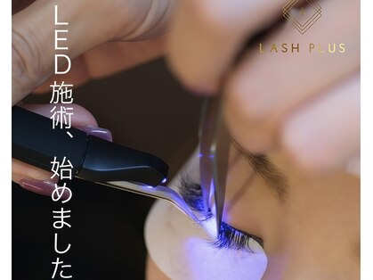プリューム(Plume)の写真