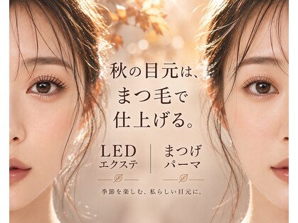 アディクト(ADDICT)の写真