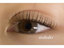 マハロ 関目(Mahalo)/フラットラッシュ100本