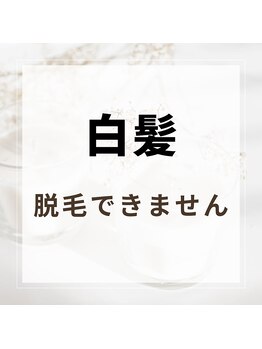 ビーンズ(BEANS)/