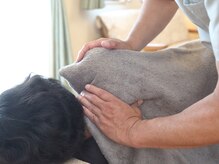 シーマ(SIMA)/ボディケア