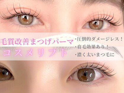 デイジー(Daisy)の写真