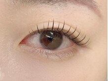 シュシュ &nbsp;恵比寿(#chouchou)/フラットラッシュ《120本》