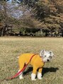 エクシアホワイトニング 中野駅北口店 数年前にシュナウザーを飼っていたのでわんちゃん大好きです。