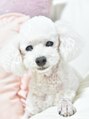 リリアムネイル(Lilium nail)/YURIKA
