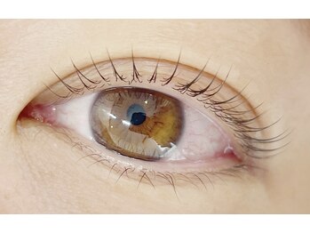 ビューティーラウンジ ノームロア(Gnomes loa)/パリジェンヌラッシュリフト