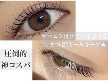 アジュメル(Ajumel)