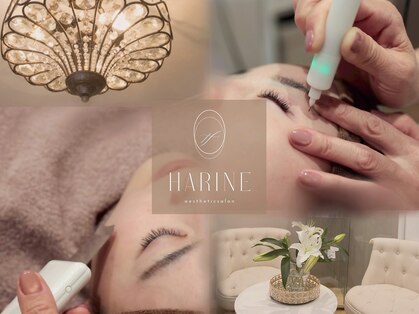 ハリーネ(HARINE)の写真