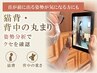 【猫背・背中の丸まりが気になる女性へ】姿勢分析つき全身整体60分
