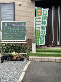 サトミン(Satomin)/看板犬