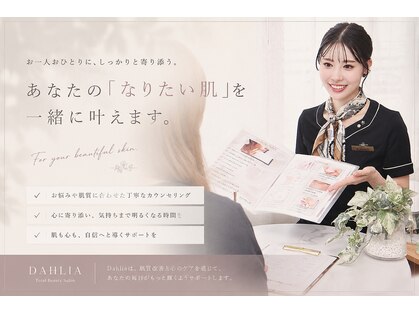 ダリア(Dahlia)の写真