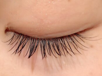 カラン 焼津店(CALIN)/フラットラッシュ100本