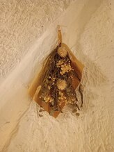 うとうと/＊内観