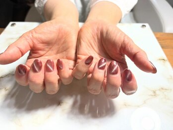 ドクターバード(DOCTORBIRDS)/