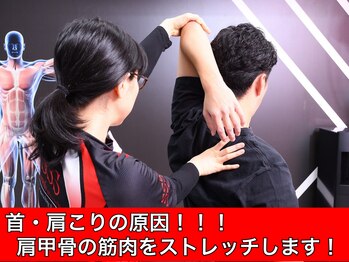 スリーエス 梅田スタジオ(SSS)/ストレッチ(肩甲骨)