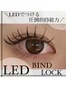 【圧倒的持続力】LEDバインドロック 80束 両目 ¥8800
