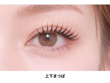 ノエルリタ(Noel rita)の写真