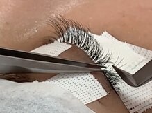 ラッシュ(LASH)/ボリュームラッシュ/3D4D/500本