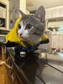 デザインケー 石巻店(designK) 猫が３匹に増えました♪