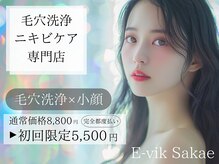 イーヴィックサカエ(E-vik Sakae)