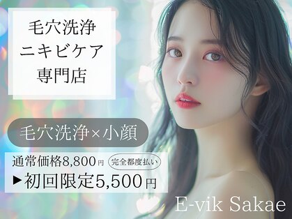 イーヴィックサカエ(E-vik Sakae)の写真