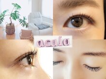 アカラ(acala)