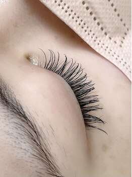 ルポ ドゥ ラパン(Repos du lapin)/フラットラッシュ