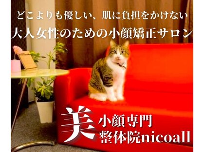 ニコール(nicoall)の写真