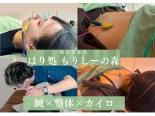 鍼灸整体院 はり処もりしーの森