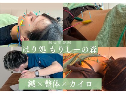 鍼灸整体院 はり処もりしーの森の写真