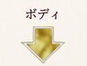 ↓ボディメニュー↓