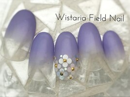 あじさい　グラデーション