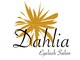 ダリア(Dahlia)の写真