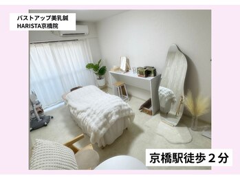 ハリスタ 京橋院(HARISTA)/【京橋バストアップ】店内写真